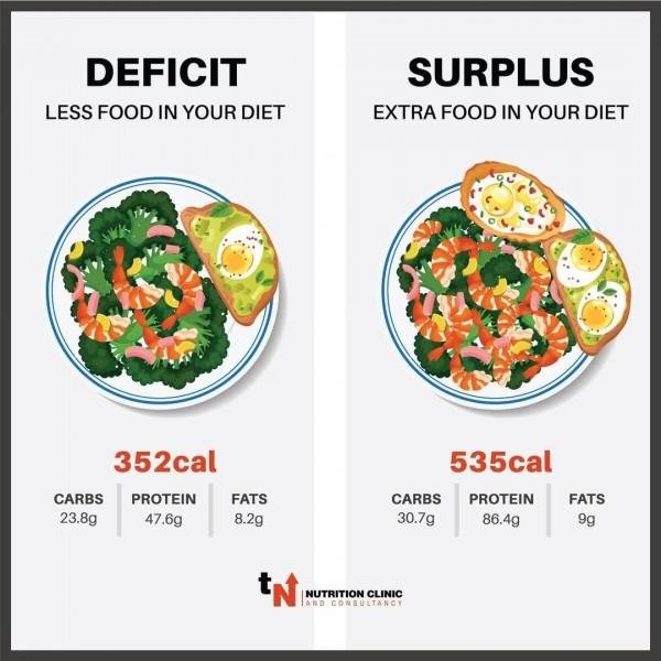 Fat Loss Calculator